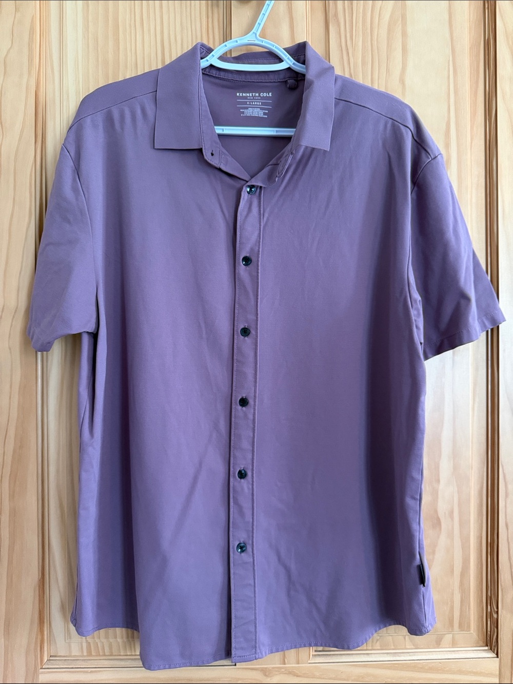 Kenneth Cole Short Sleeve Button-Down Shirt in Dusty Purple